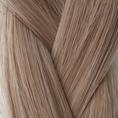 10/18 - Light Ash Blonde/Dark Blonde Mix
