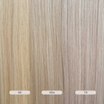 60a - Ash Platinum Blonde