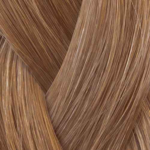 6 - Warm Light Brown