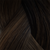 2-2/6 - RootMelt