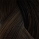 2-2/6 - RootMelt