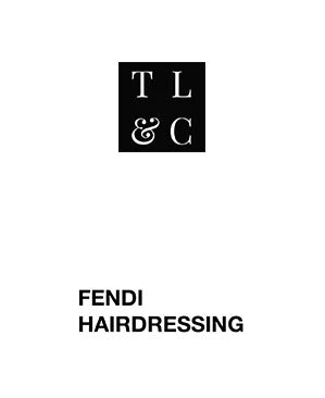 Fendi hairdressing clearance