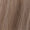 10/18 - Light Ash Blonde/Dark Blonde Mix