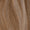 6/18 - Warm Light Brown/Dark Blonde Mix
