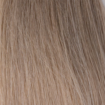 10/18 - Light Ash Blonde/Dark Blonde Ombre