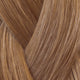 6 - Warm Light Brown