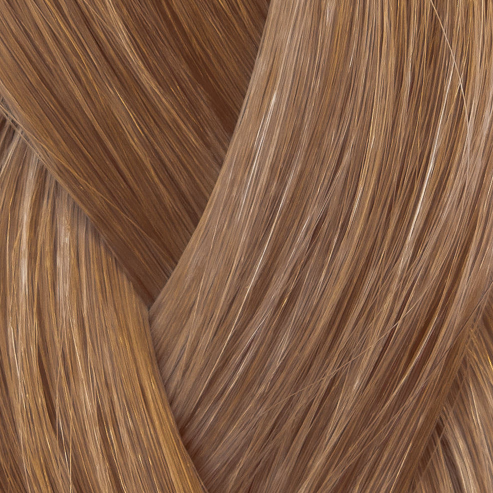 6 - Warm Light Brown