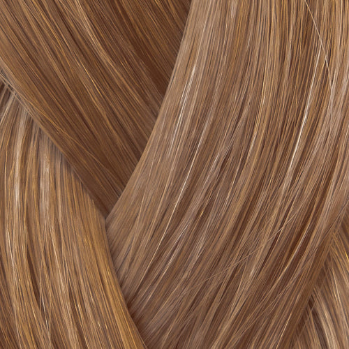 6 - Warm Light Brown