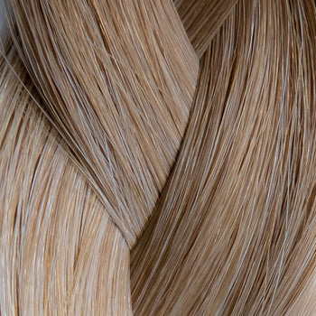  8/18 - Cool Light Brown/Dark Blonde Ombre  