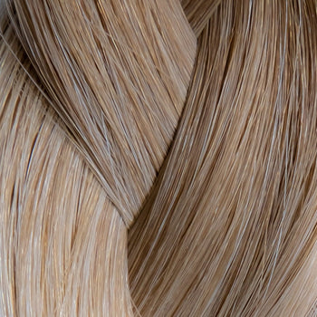  8/18 - Cool Light Brown/Dark Blonde Ombre  