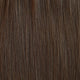 Chocolate Brown