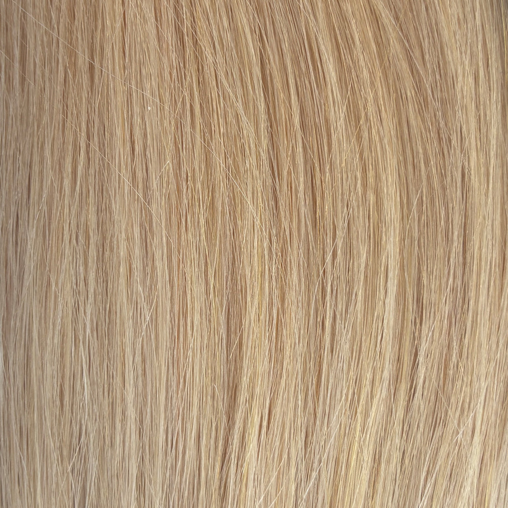 Sugar Cookie Blonde