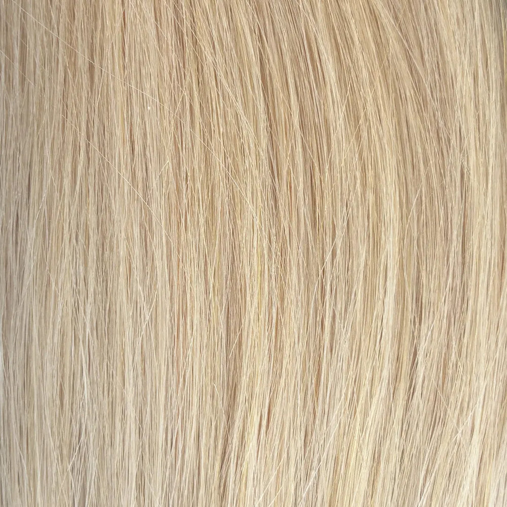 Sugar Cookie Blonde