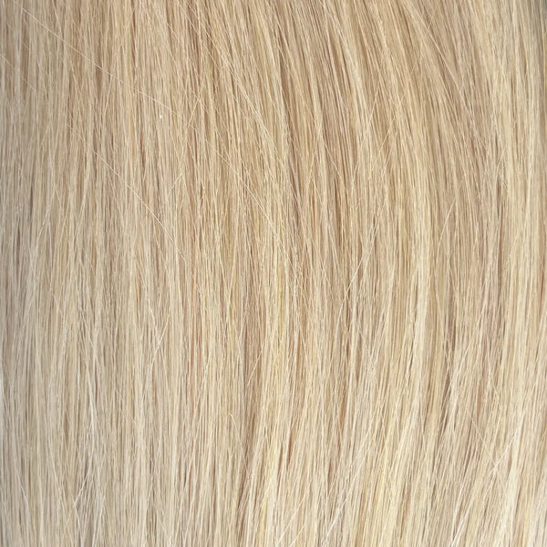 Sugar Cookie Blonde