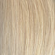 Sugar Cookie Blonde
