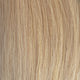 Sugar Cookie Blonde (26/27)