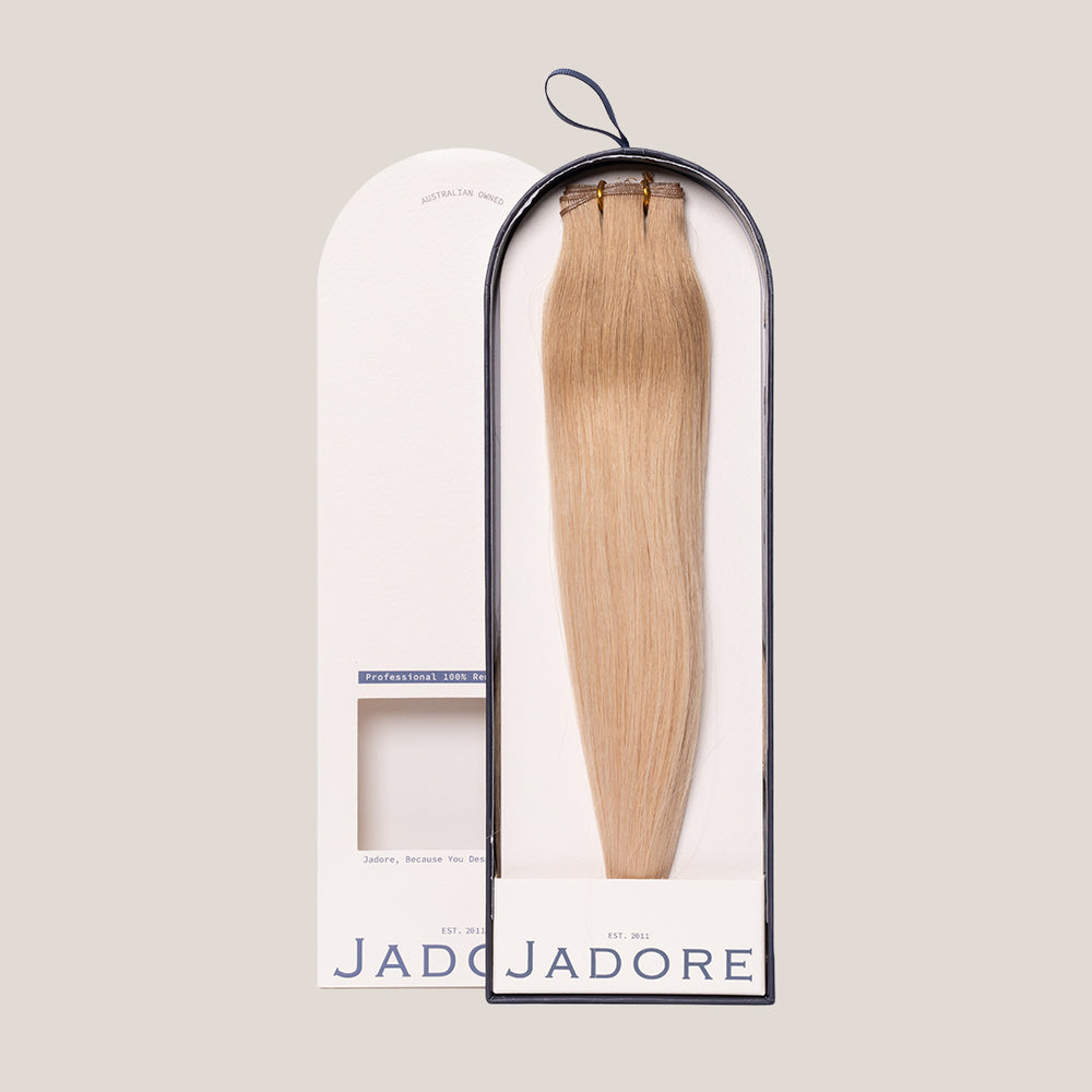 8/18 - Cool Light Brown/Dark Blonde Ombre