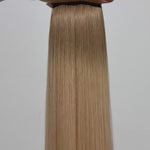 10/18 - Light Ash Blonde/Dark Blonde Ombre